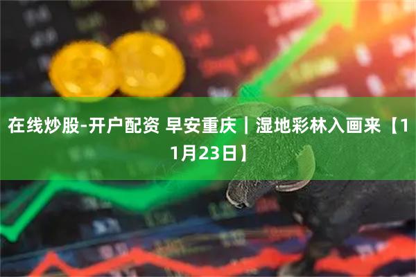 在线炒股-开户配资 早安重庆｜湿地彩林入画来【11月23日】