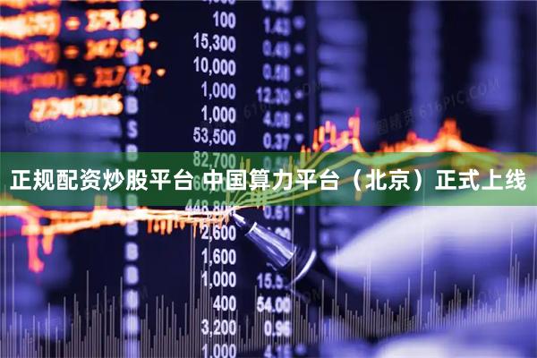 正规配资炒股平台 中国算力平台（北京）正式上线