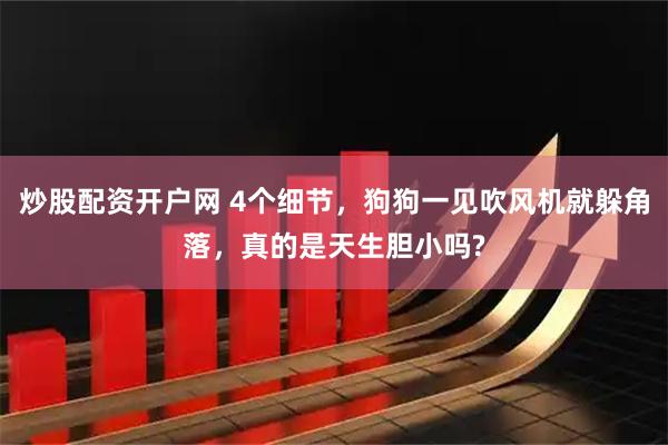 炒股配资开户网 4个细节，狗狗一见吹风机就躲角落，真的是天生胆小吗?