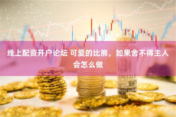 线上配资开户论坛 可爱的比熊，如果舍不得主人会怎么做